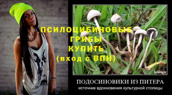 герыч Арсеньев