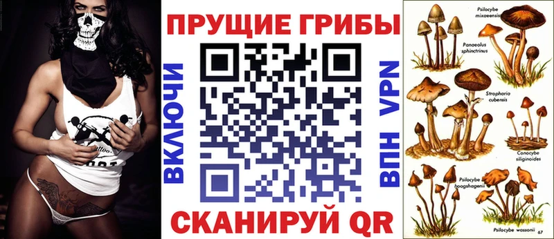 наркошоп  Оха  Псилоцибиновые грибы Psilocybe 
