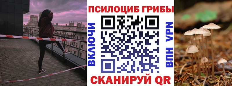 Галлюциногенные грибы Psilocybe Оха